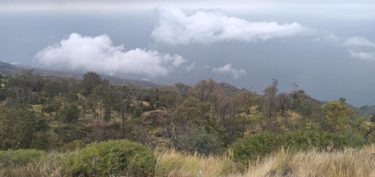 Ciza E Rose Bed & Breakfast Portela Luaran gambar